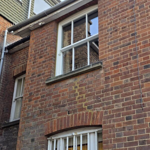Timber sash windows on a brick building, Dorking, Surrey
